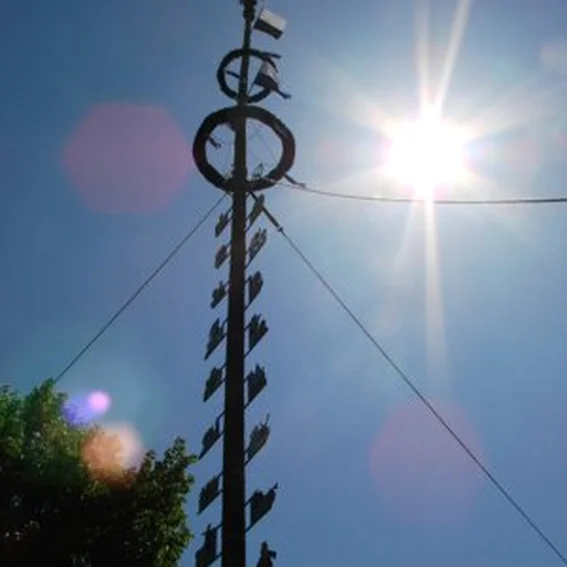 20070501_maibaum_15.jpg