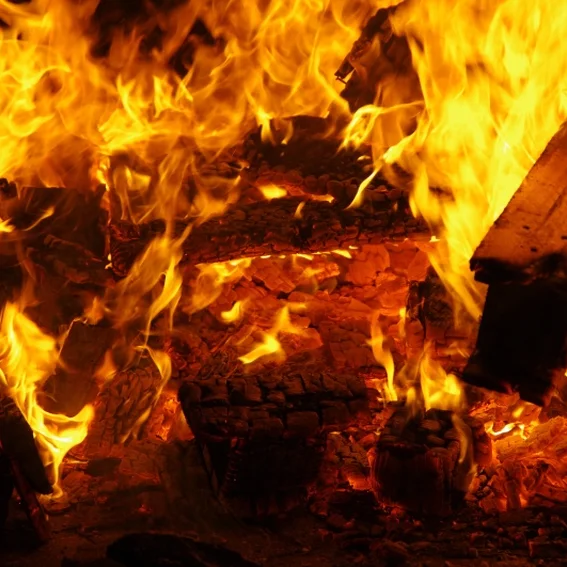 20111223_wbkpraxis2_15.jpg