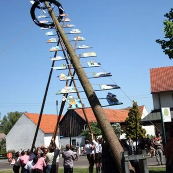 20070501_maibaum_10.jpg