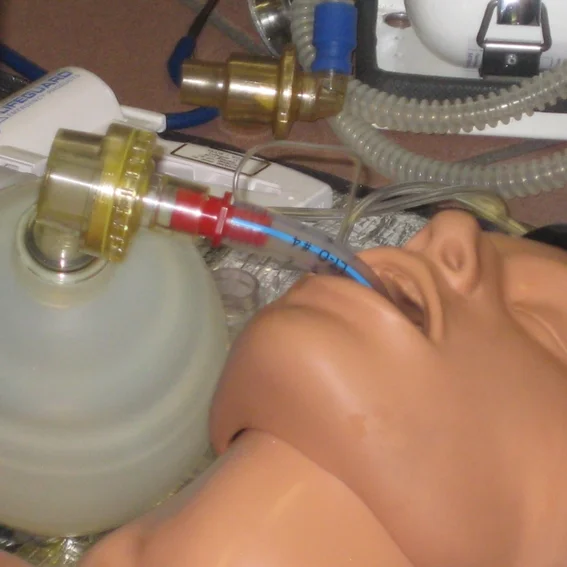 20110404_sankurs_10.jpg