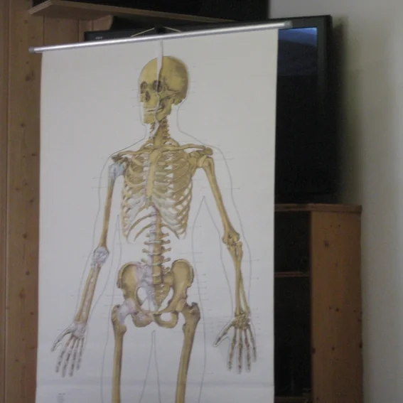20110404_sankurs_17.jpg