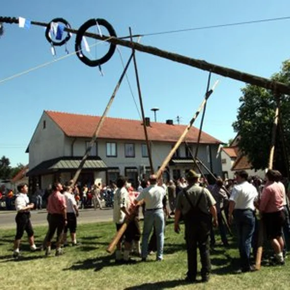 20070501_maibaum_8.jpg